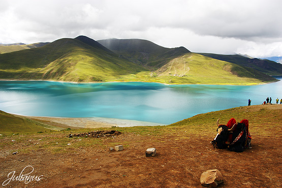 Yamdrok lake